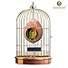 SunGrow Coconut Shell Bird House