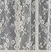 SKL Home by Saturday Knight Ltd. Petite Fleur Curtain Panel, Ivory, 56 inches x 84 inches