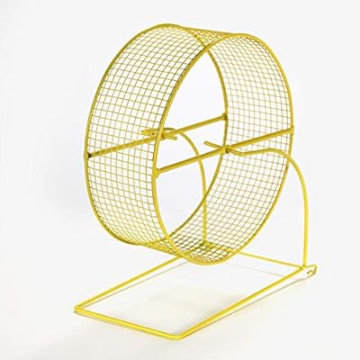 kaytee run around wheel