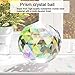Clear Crystal Ball Prism Window Rainbow Maker Window Prisms Suncatcher for Feng Shui, (100mm/3.94inch)