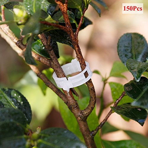 Ozzptuu 150PCS Plastic Plant Support Garden Clips Garden Twine Twist Ties for Tomato Vegetables Vine to Grow Upright,White