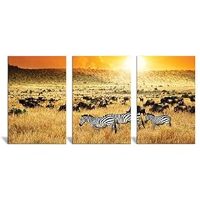 Canvas Wall Art Wild View Animals Beasts Painting Artwork for Home Prints Framed - 16"x24" x 3 Panels