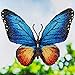 Leisure Arts 49367 DAK Diamond Art Kit 12x12 Intermediate Butterfly, None