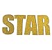 Fecedy Letters Twinkle Twinkle Little Star Glittery Gold Garland for birthday party,baby shower party (Gold)