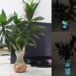100Pcs Luminous Stones Glow in The Dark Garden