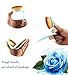 Eyeliner Stamp 2 pens, 2 double sided pens, liquid winged eyeliner pen waterproof smudgeproof long lating wing original eyeliner pen
