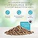 Blue Buffalo Freedom Grain-Free Adult Dry Cat Food, Complete & Balanced Nutrition for Indoor Cats, Made with Natural Ingredients, Chicken Recipe, 11-lb. Bag