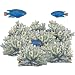 Underwater Blue Coral Reef Wall Sticker Mural