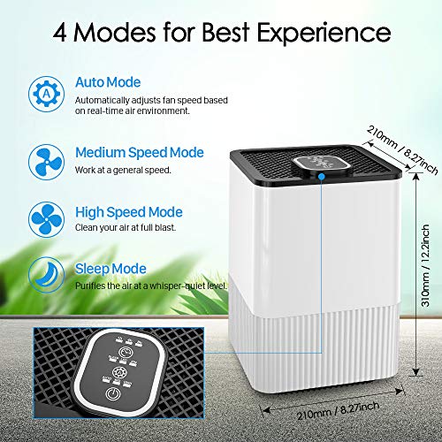 Nobebird Air Purifier with 4 in 1 True HEPA Filter and Ionizer, Home Air Cleaner with Air Quality Indicator and Timer, Odor Allergies Eliminator for Dust, Pollen, Smoke, Pet Dander and More