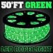 GotHobby 50'ft Green Color 2-Wire LED Rope Light Home Outdoor Boat Christmas Lighting 110v