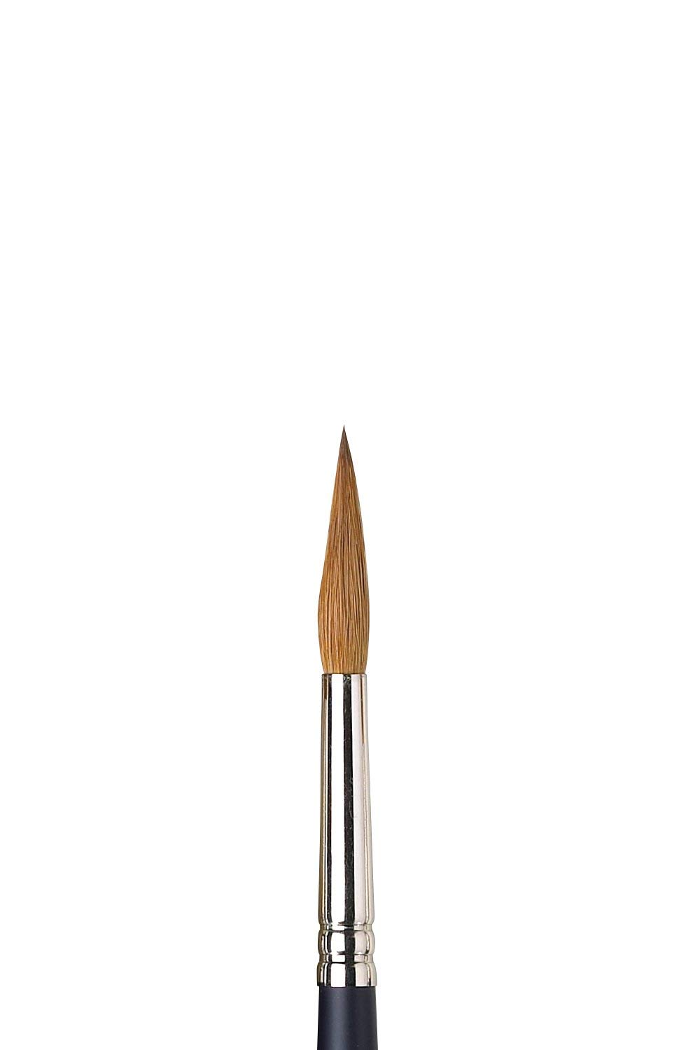 Winsor & Newton Size 8 Artists Watercolour Sable Pointed Round Brush