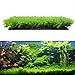 Ray-JrMALL Artificial Water Aquatic Green Grass Plant Lawn Aquarium Fish Tank Landscape
