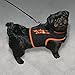 Adjustable Vest Style Harnesses for Smaller Dogs. X-Small, Orange.