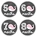 Pinkie Penguin Whale Baby Monthly Stickers - Baby Girl - 1-12 Months - Milestone Onesie Stickers - Month Stickers for Baby