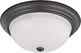 Nuvo 60/3147 Flush Mounted Dome Light