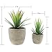 Velener Mini Home Decoration Aloe Vera Artificial Plants with Paper-Mache Pots (Set of 2), 7 inches and 5 inches, Faux Plants for Living Room, Kitchen, Bedroom, and Office Decor…