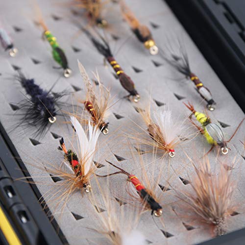 image for M MAXIMUMCATCH Maxcatch Fly Fishing Flies Kit Fly Assortment Dry/Wet F
