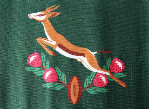 1 Original+Movie+Prop+Springbok+Authentic