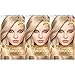 L'Oréal Paris Superior Preference Fade-Defying + Shine Permanent Hair Color, 9A Light Ash Blonde, 3 COUNT Hair Dye