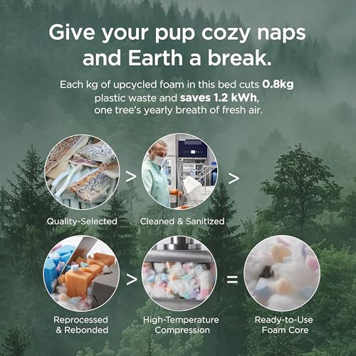 Bedsure Washable Dog Bed Large Dogs – 114 x 81 cm Extra Thick and Support Sofa with Waterproof Cover, Non-Slip Soft Sherpa Plush Bed, Dark Grey