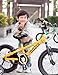 Royalbaby Bull Dozer Fat Tire kids bike, 18 inch, All-Terrain Boy's bike for energetic kids, BURLY kid's bike with training wheels and kickstand, 2017 newly-launched, Yellow