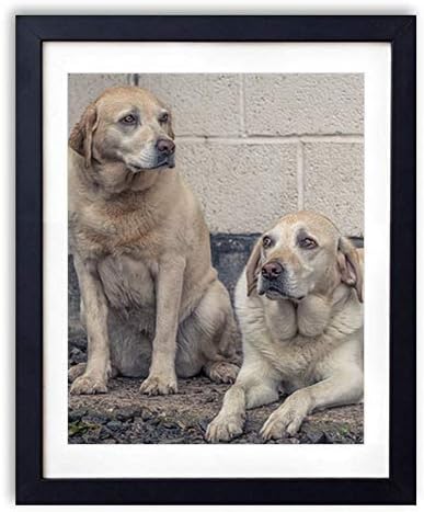 Amazon Co Jp 木製フォトフレーム 写真フレーム 木製の枠 50cmx70cm 特大 犬犬壁横になっています 装飾画 壁掛け 壁飾り 壁ポスター おしゃれ ウォールアート アートパネル 壁の絵 インテリア絵画 額縁 部屋飾り 黒額縁が飾っている 壁画 ホーム キッチン