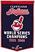 MLB Wool Dynasty Wall Banner