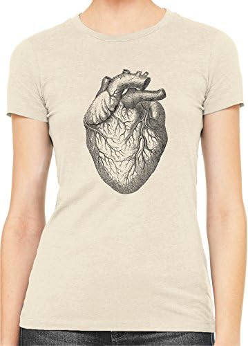Austin Ink Apparel Human Heart Anatomy Womens Slim Short Sleeve T-Shirt (Cream, M)