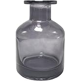 erioctry 1PCS 150ml/5oz Glass Diffuser Bottle Aromatherapy Jar Exquisite Essential Oils Container Fragrance Accessories Use for DIY Diffuser Sticks Essential Oils Crafts Decor Gift