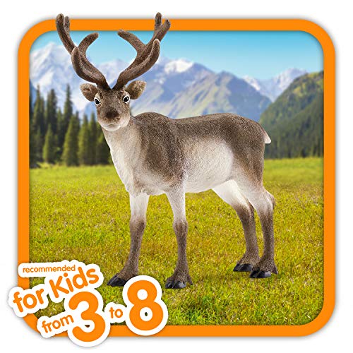 schleich WILD LIFE | Rentier 14837 | detailgetreue Tierfiguren | Zoo Spielzeug | ideales Geschenk für Jungen und Mädchen | Deko für Geburtstag | Spielfigur ab 3 Jahren | 13 x 6 x 12 cm – Bild 3