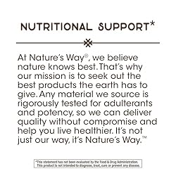 Nature's Way DMG-B15 Complex Nutritional
