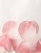 NNJXD Girl Tutu Flower Petals Bow Bridal Dress for Toddler Girl Size 6-7 Years Big Pink