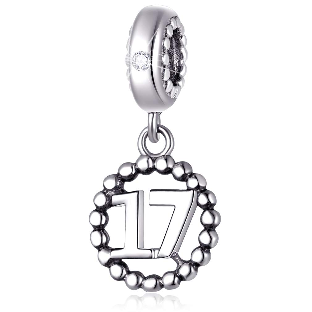 17 Number Bracelet Charms,925 Sterling Silver Pendants Beads Fit Pandora Charm Bracelets, Necklace, and European Snake Chain, Dangle for Happy Birthday Number 17th/ 17 Years/Seventeen
