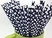 125 Navy and silver Paper Straws - Party DIY, Mason Jars, Baby Shower, Chevron and Polka Dots