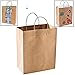 Fun Express Classy Large Brown Kraft Paper Gift Bags - 10.5