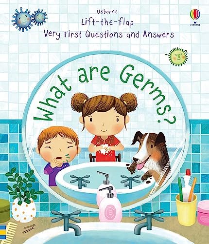 Usborne Lift-the-flap Series My Very First Questions and Answers