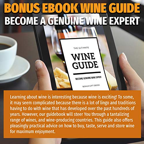 6 Wine+Aerator+Decanter+Decanters+Areators