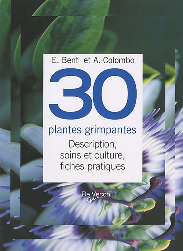 30 plantes grimpantes