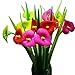 BUOP 24-Count [12+12] Bouquet of Zantedeschia Aethiopica Assorted Color Flower Pen, Novelty Design Flower Arrangement Style Extra Fine Gel Pen of Grass and Zantedeschia Aethiopica