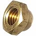 3/8-16 Hex Cap Nuts, Solid Brass, Grade 360, Commercial, Plain Finish, Quantity 25