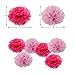 Parlie Pink Birthday Party Decorations, Birthday Party Supplies, Parlie 45pcs Party Decors and Supplies, Set includes Happy Birthday Banner, Paper Tassels, Pompoms and Garland Stars for Girls Pink