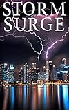 Storm Surge: EMP Survival in a Powerless World