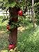 starbluegarden 3pcs Metal Red Ladybug Wall Hanger Wall Hanging Outdoor Garden Decor