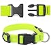 VIZPET LED Dog Collar Light USB Rechargeable Light Up Collar Adjustable Glowing Pet Collar Super Bright for Night Safety Dog Collar with 6 Colors for Large, Medium, Small Dogs (Green, Medium)
