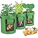 Unique-Fit Potato Grow Bag 3 Packs Update Garden Vegetables Planter Bags with 4 Drain Holes and Velcro Window, 7 Gallon Potato Bag Planter (Green)thumb 1