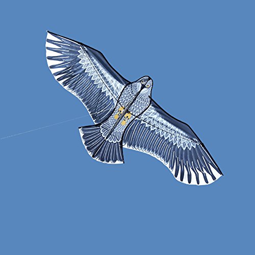 HENGDA KITE 60Inch Edge Eagle Kite Pricepulse