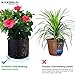MAXSISUN 5-Pack 7 Gallon Plant Grow Bags, Heavy Duty Thickened Non-Woven Aeration Fabric Pots Container with Reinforced Handles for Gardeningthumb 4
