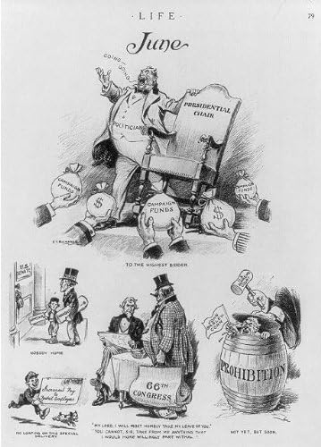 Political Cartoon 1920 Woodrow Wilson Prohibition Amazon Ca Home Kitchen