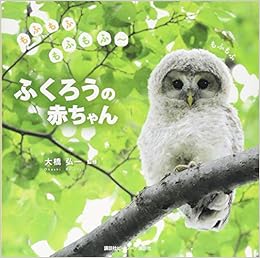 もふもふもふもふ ふくろうの赤ちゃん 大橋 弘一 講談社ビーシー 書籍出版部 本 通販 Amazon