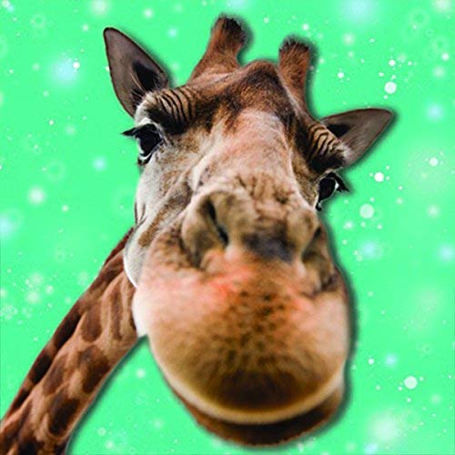 Up Close Lenticular 3d Blank Greeting Card 'Nosey Giraffe'
